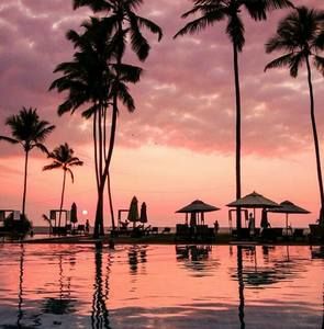 Meet your Posher, Owen